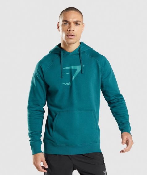 Bluzy Z Kapturem Gymshark Sharkhead Infill Męskie Turkusowe | PL 309RKI